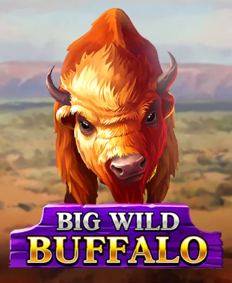 Play Big Wild Buffalo at Lili Bet Casino